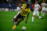 Mercato - PSG : Un nouveau Kolo-Muani dans le viseur ?